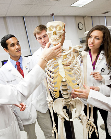 People in doctors lab coats examine a model skeleton.