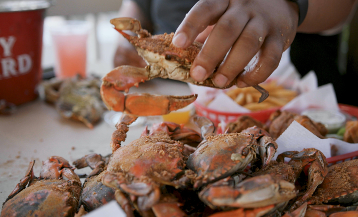 A hand grabs a cooked Maryland blue crab off a table
