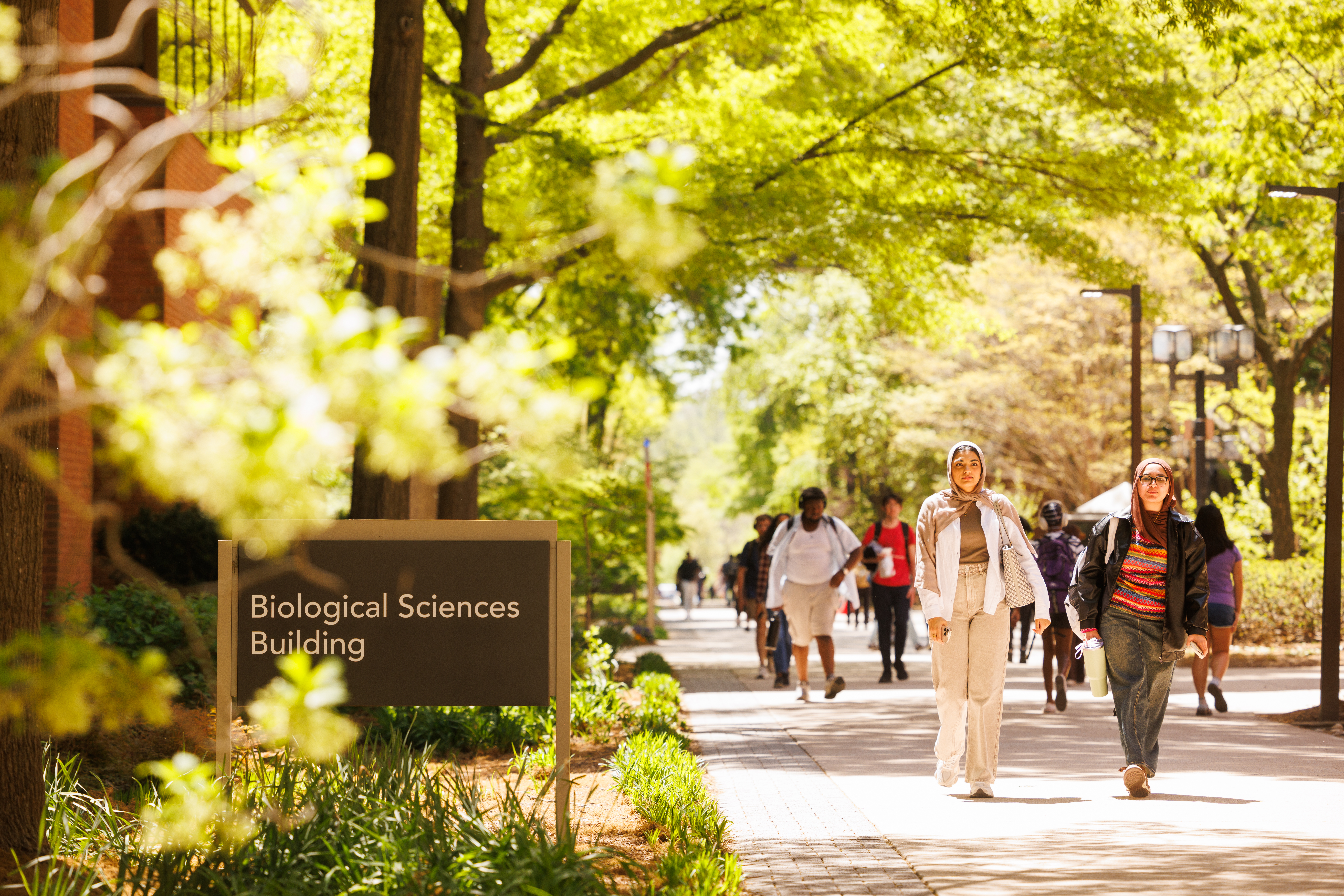 A shot of the UMBC campus in the fall. Students walk on a path toward the Biological Life Sciences Building.