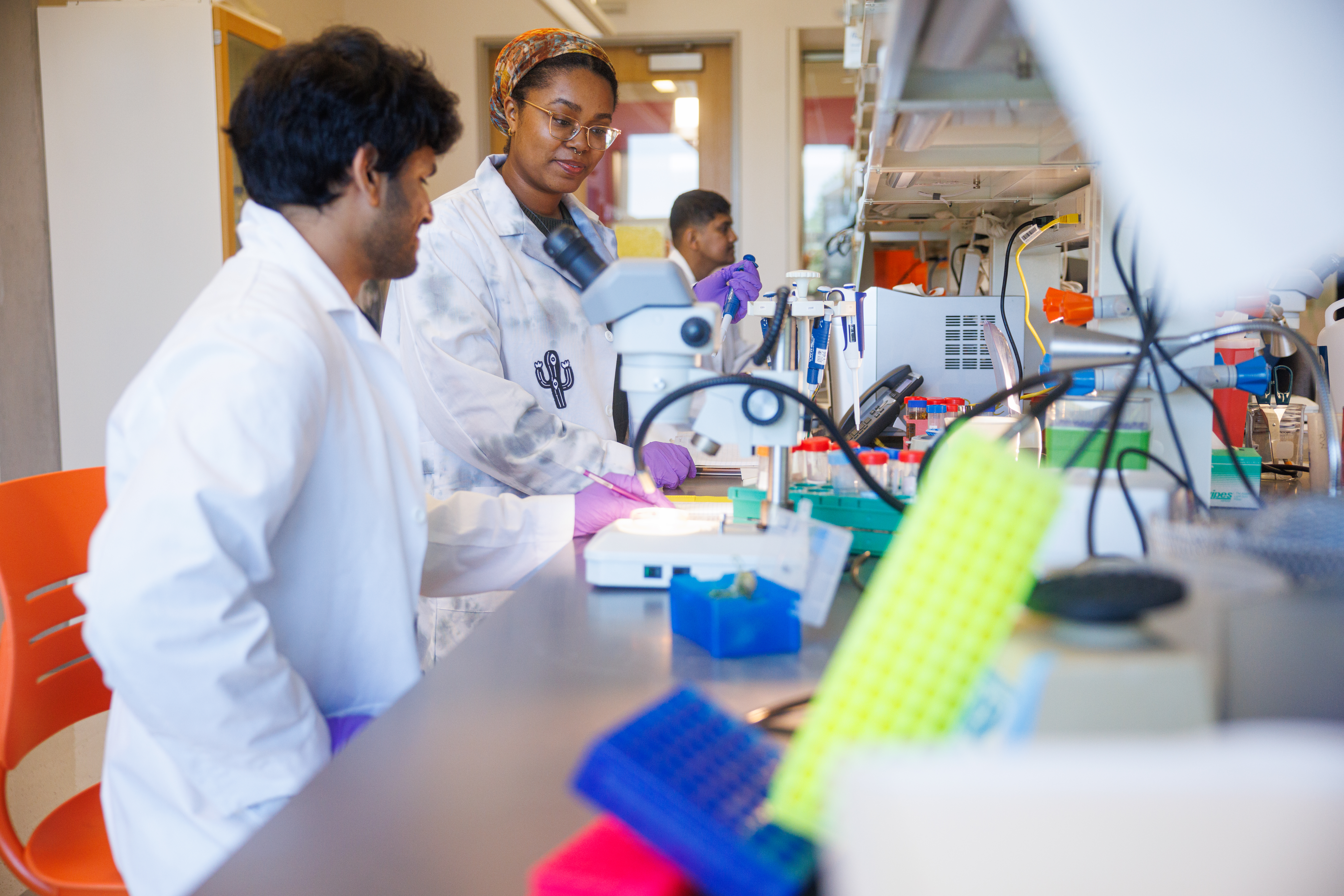 Students working together at a laboratory at UMBC.